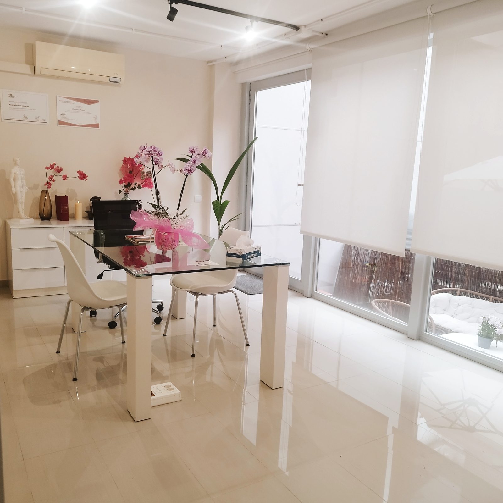 Rosanna Montes — acupuncture